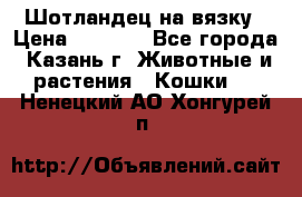 Шотландец на вязку › Цена ­ 1 000 - Все города, Казань г. Животные и растения » Кошки   . Ненецкий АО,Хонгурей п.